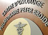 enseigne, enseignes, signalisation, lettrage, design, conception, mobilier urbain, borne lectrique, lutrin, Groupe BLH
