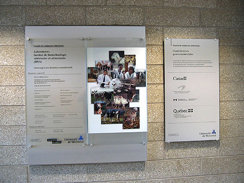 Groupe BLH, enseigne, signalisation, lettrage, design graphique, borne, mobilier urbain, lutrin